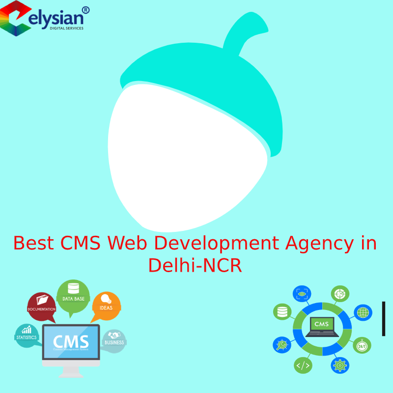 Best CMS Web Development Agency in Delhi-NCR