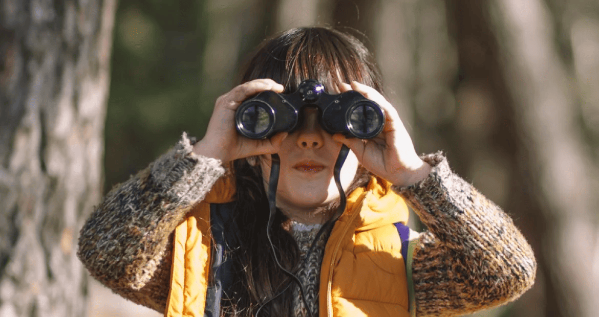 Discovery Phase in software development