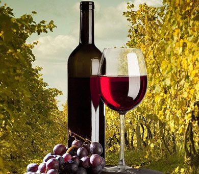 Dry Creek Valley Wine Tours in Bay Area