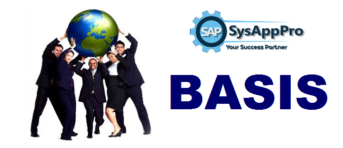 Join Best SAP Basis Course in Gurgaon