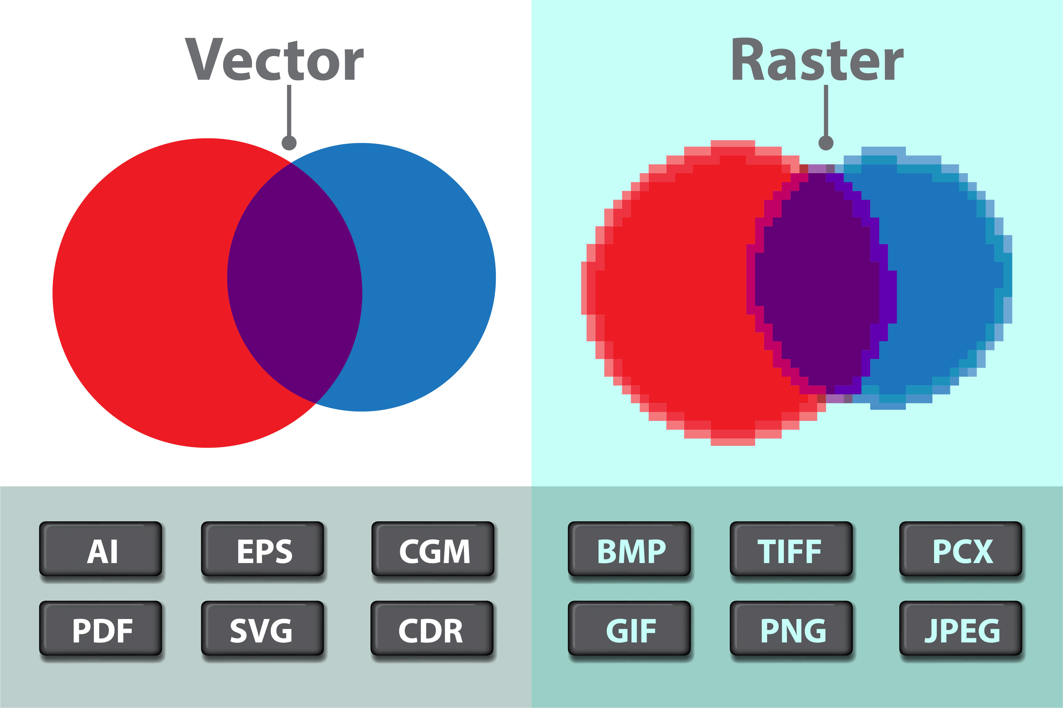 Vector vs. Raster: What image format does designer need and why?