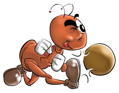 Olivier Couriol - Host innovative