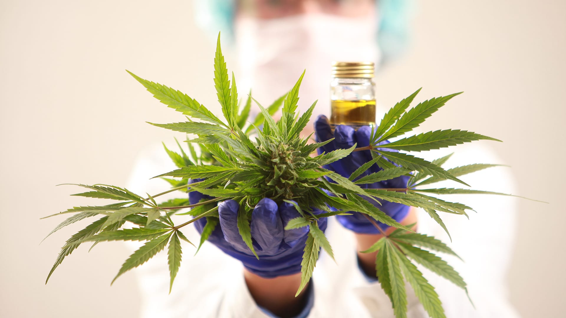 3 Important Questions to Ask Your Budtender