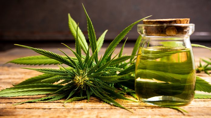Best Marijuana Strains to Bring Your Creative Side Out
