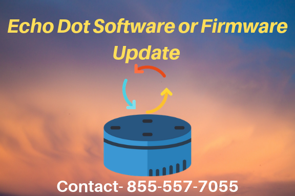 Can't Update Echo Dot Software or Firmware | Echo Dot Error | 855-557-7055