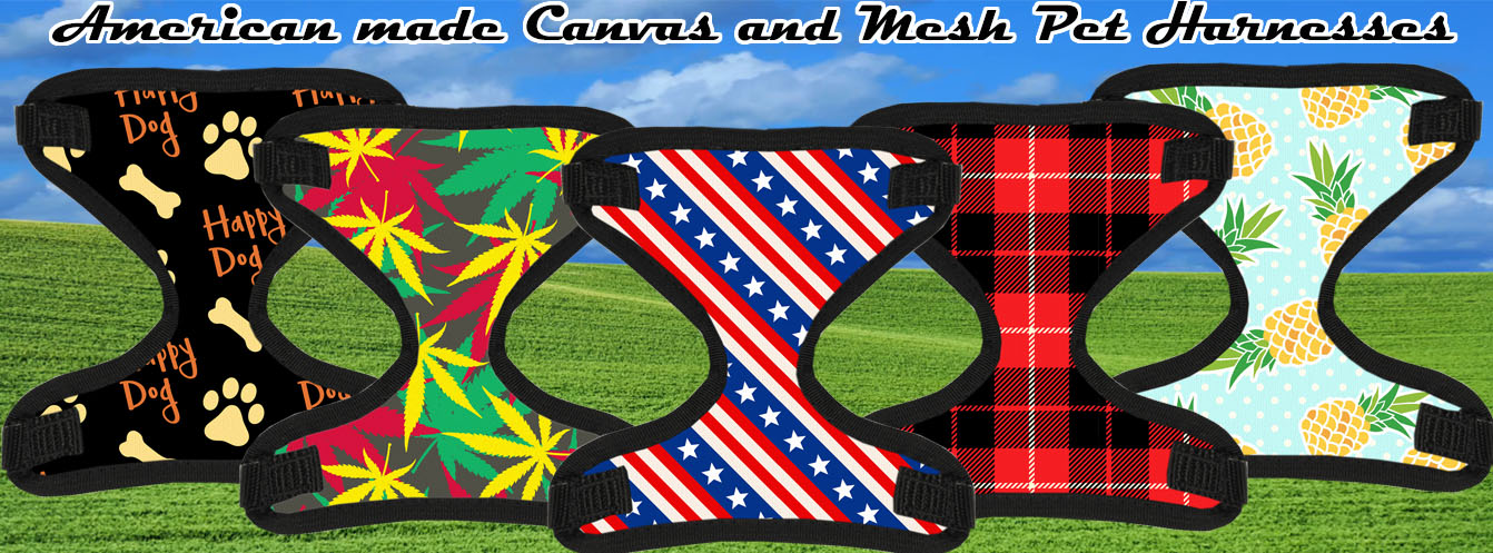 Decorate Your Puppies with Bling and Leather Flower Collars