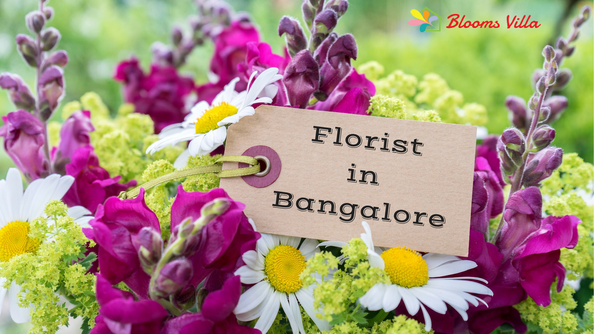 How To Choose The Best Florist in Bangalore