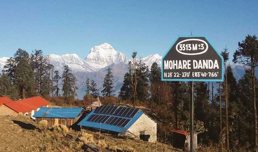 Mohare Danda Trek