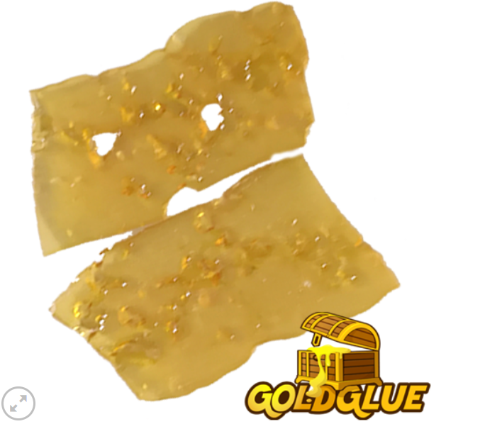 GOLD GLUE – BLACKBERRY OG SHATTER