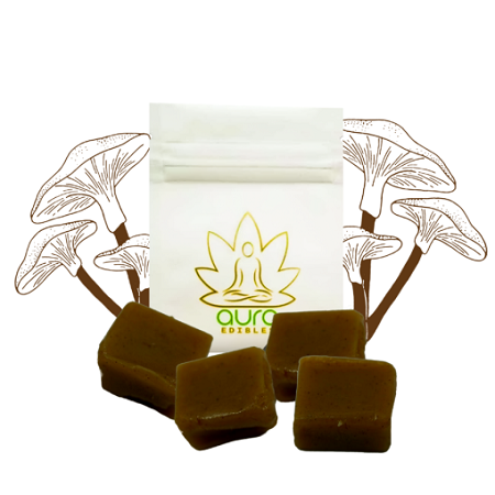 Aura Artisan Psilocybe Caramels – Coco Chocolatier