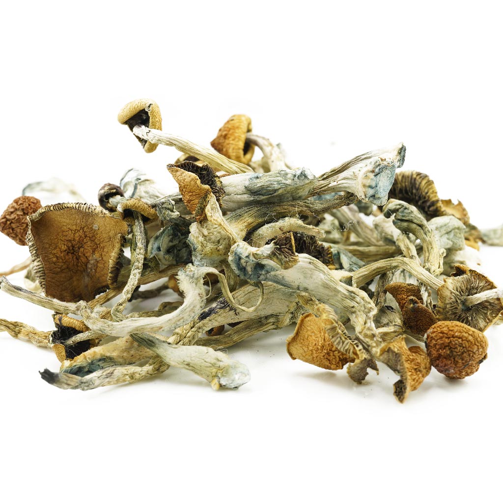 B+ Shrooms