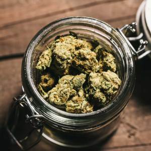 Live rosin | cannaify.co