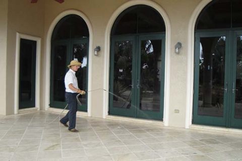 6 Common Pest Control Services That Homeowners Should Have In Their Phonebook