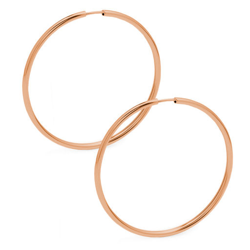 Crafted By Citrus Earrings - Citrus Hoop Earrings