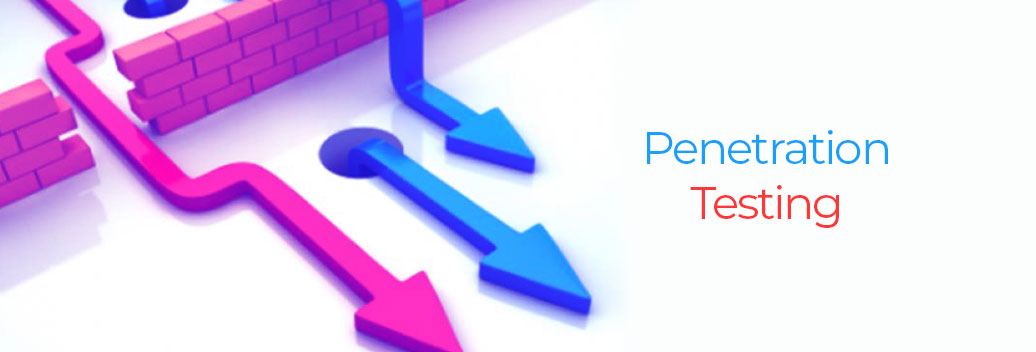 Assessment of Penetration Testing in Security