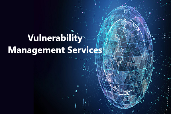 Live Vulnerability Management Services, Threat Management Tools