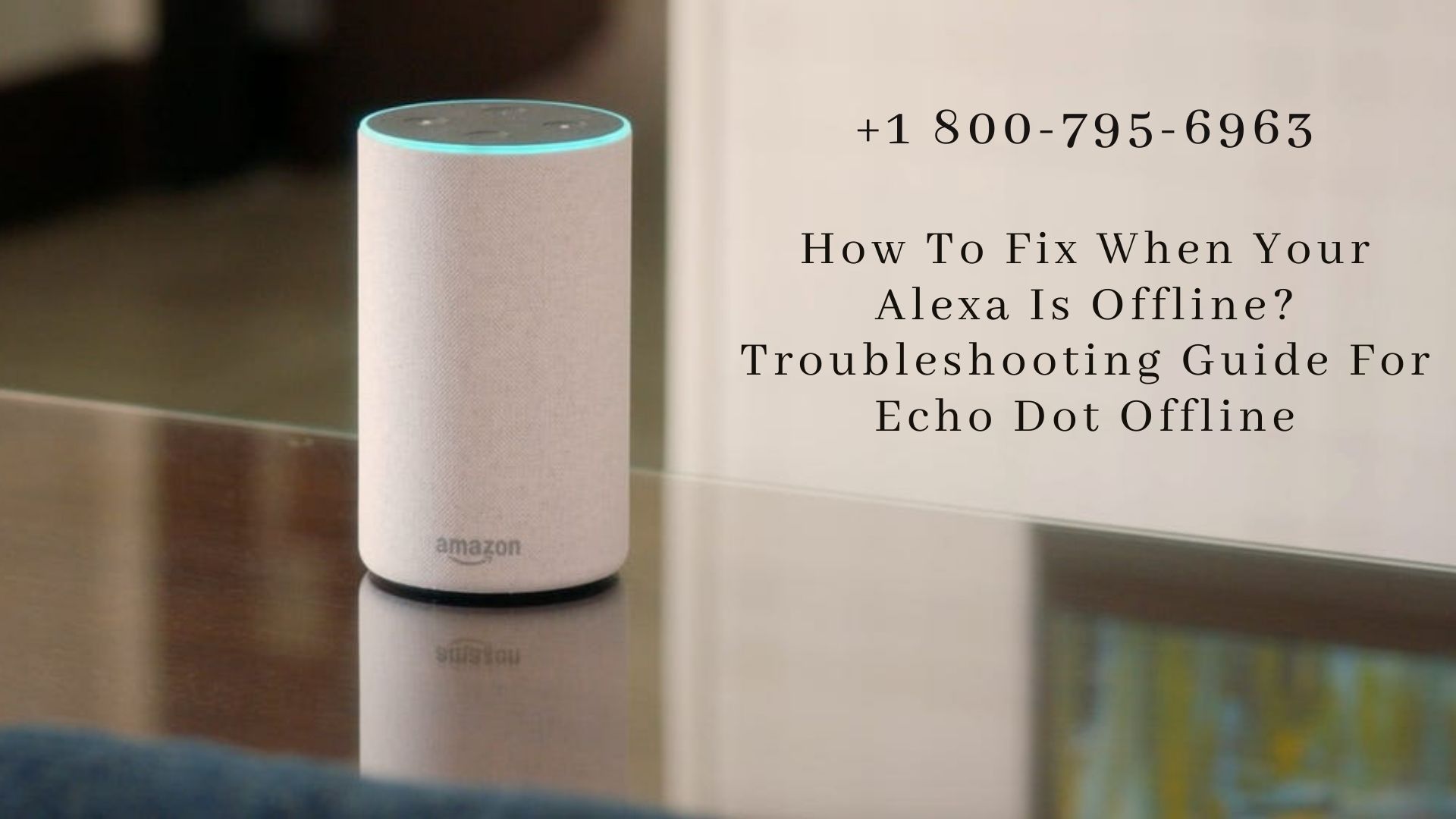 Alexa Is Offline -Call 1-8007956963 | Smartechohelp