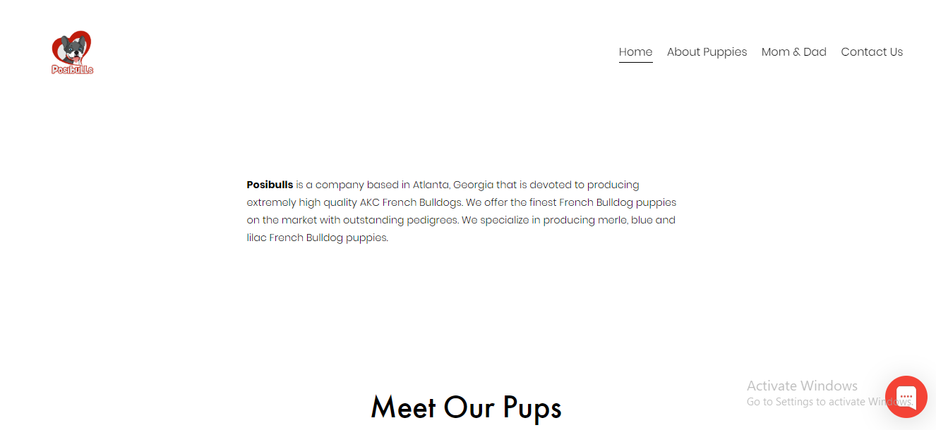 Posibulls | French Bulldog Puppies For Sale | Georgia, USA