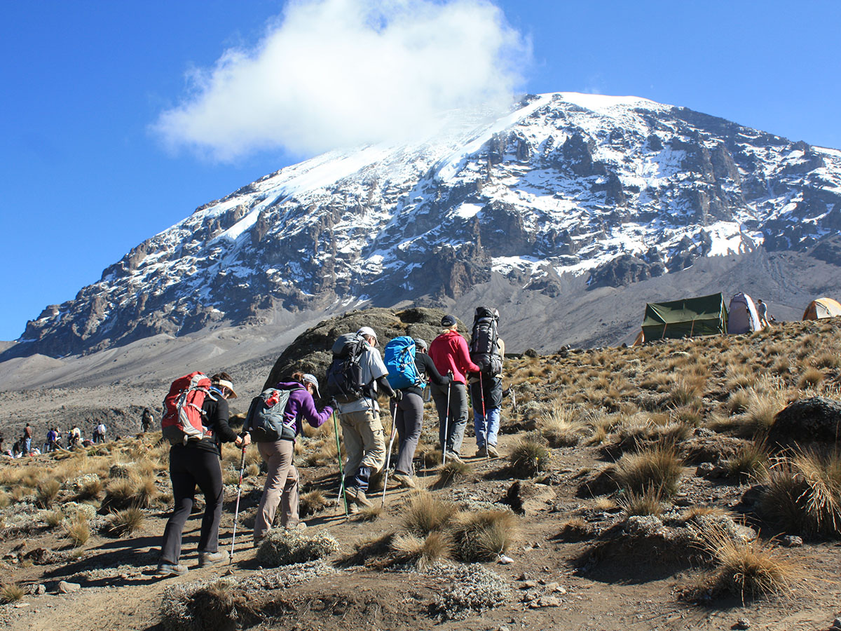 Climbing Mount Kilimanjaro For Beginners (Tips For High Summit Success)