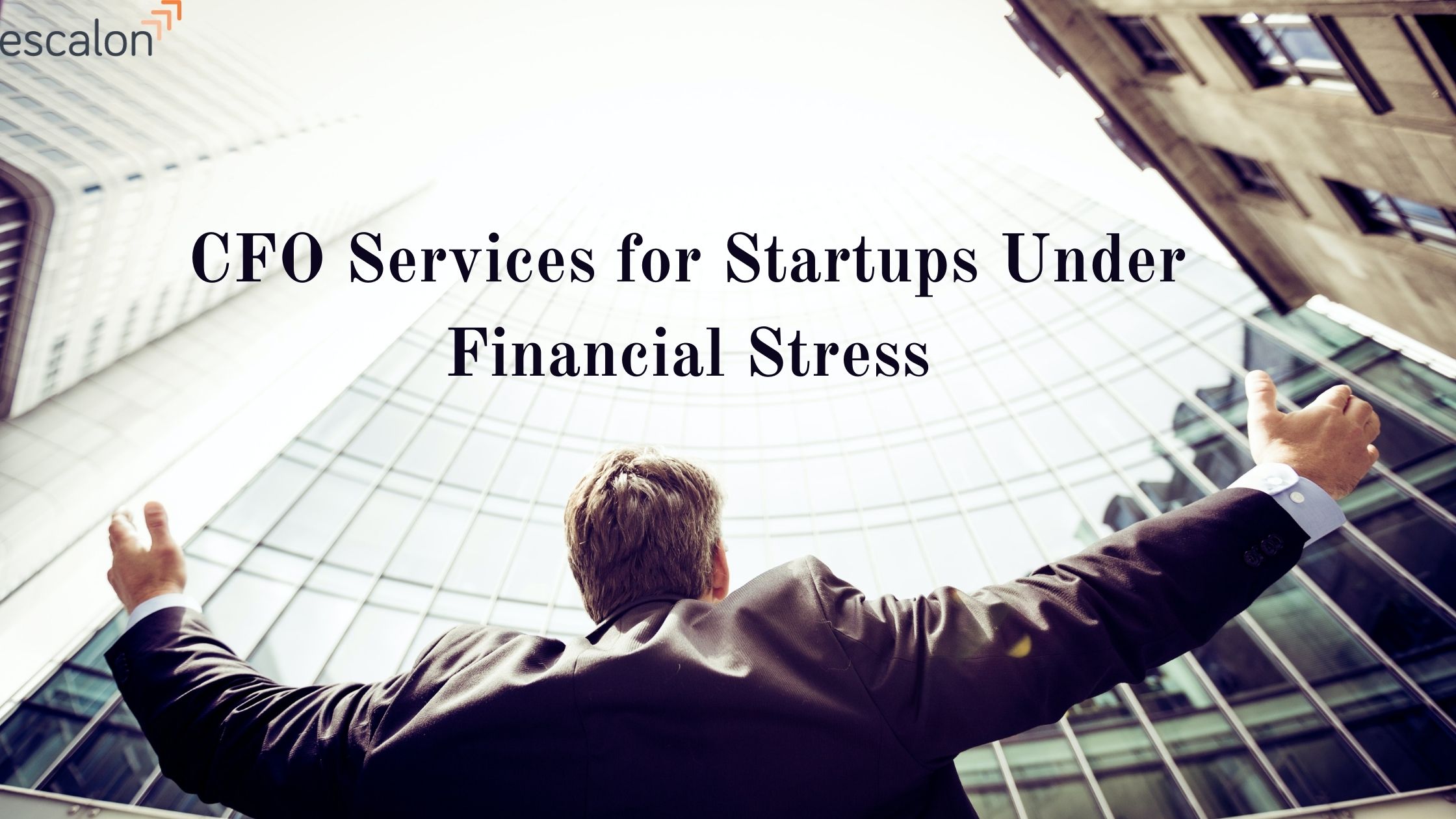 CFO Services for Startups under Financial Stress