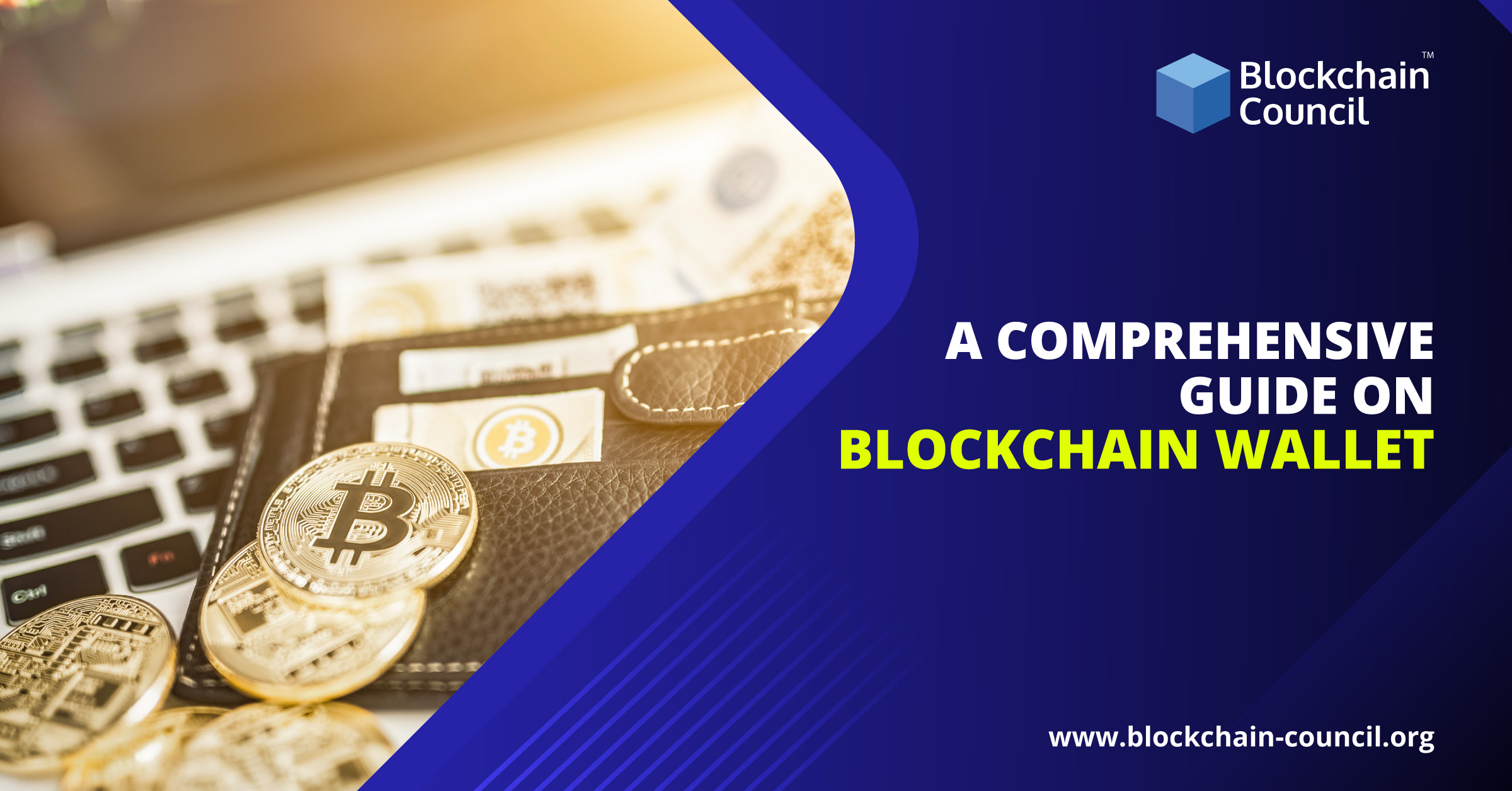 A Comprehensive Guide on Blockchain Wallet