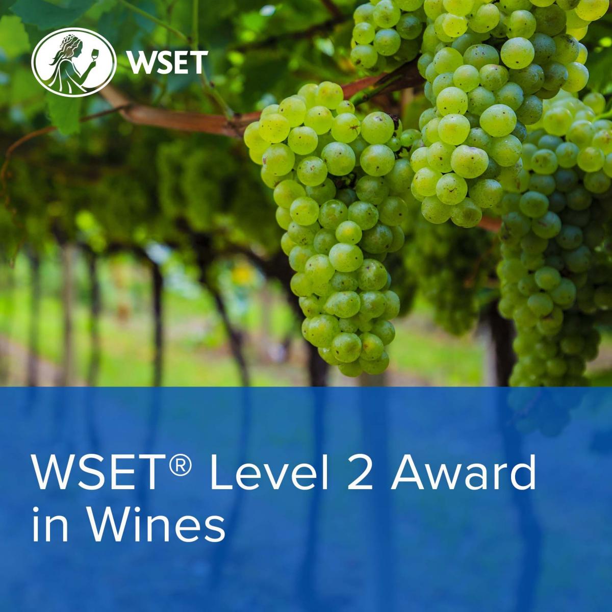 Adventure In Wine WSET Certification Institutes Now Present Near You