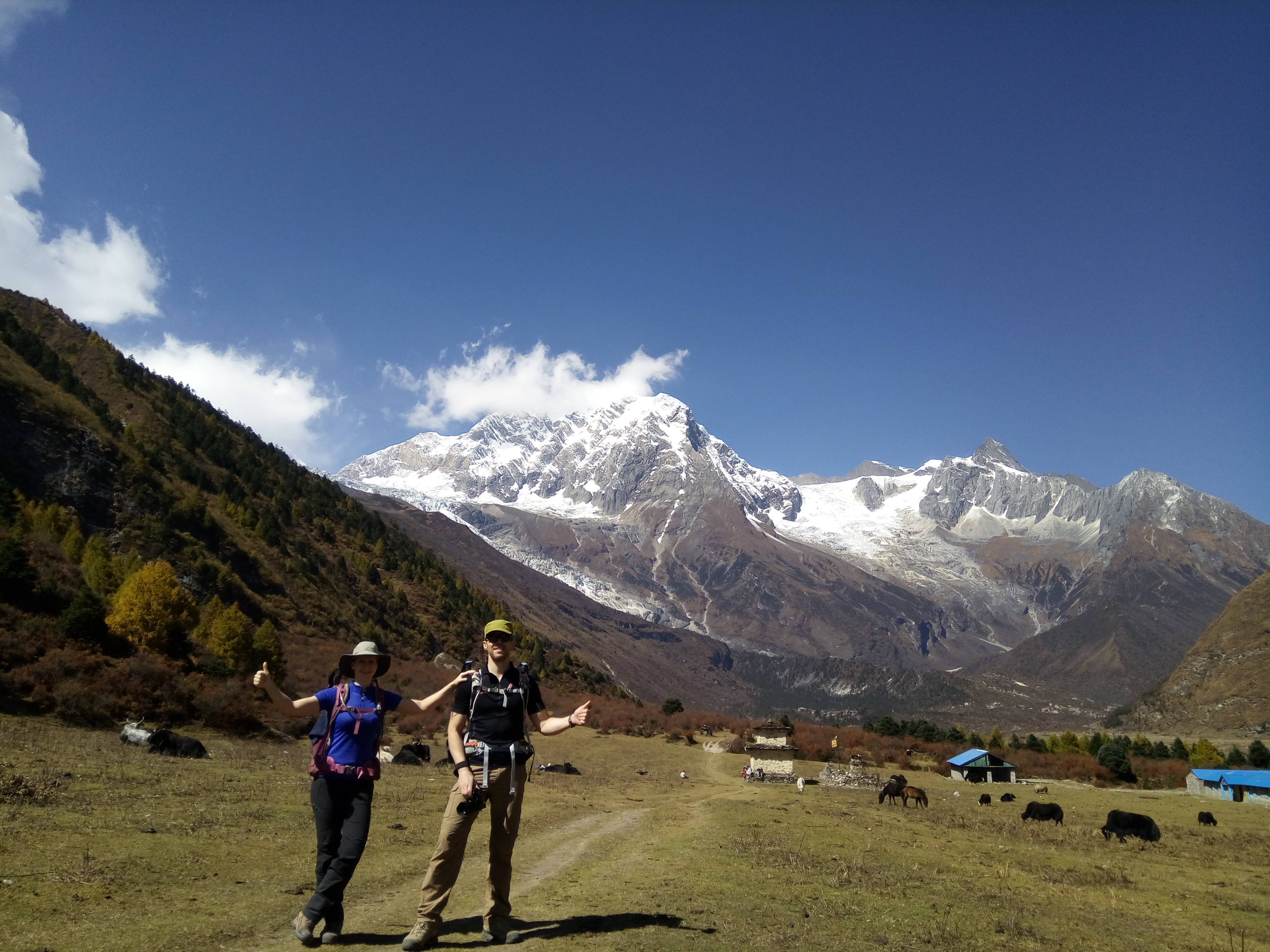 Trekking in Nepal-Ace vision Treks-Travel Partner