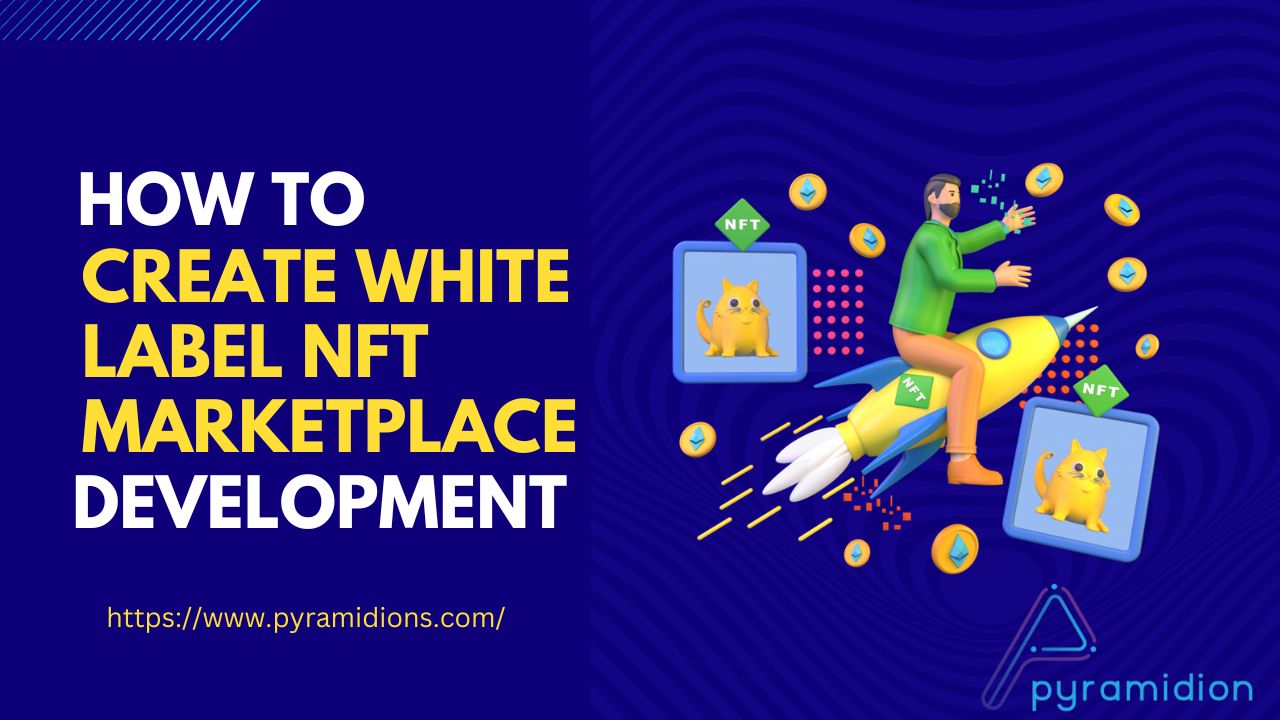 How to Create a White Label NFT Marketplace Development?
