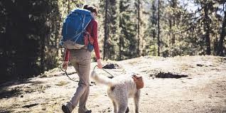 Benefits of hiking with your dog