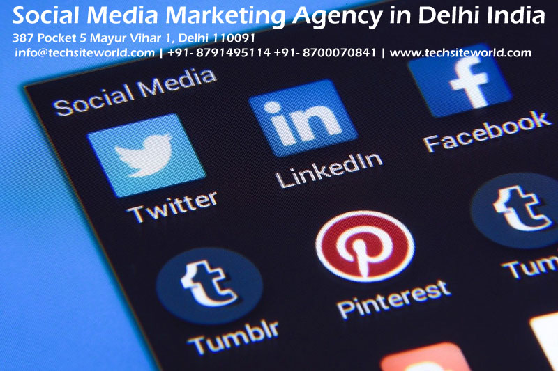 Social Media Marketing Agency in Delhi, India