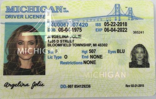 Ordering Fake Ids Online – Is It A Good Idea Or Bad?