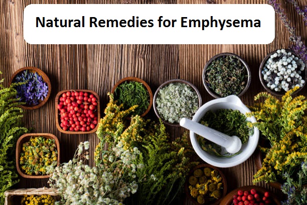 Natural Remedies for Epididymitis Treat the Infection