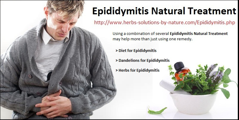 Natural Remedies for Epididymitis - Herbs Solutions By Nature