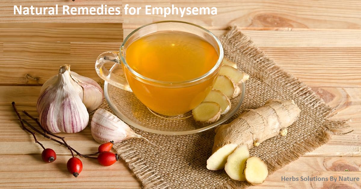 Natural Remedies for Emphysema can Improve Life Expectancy