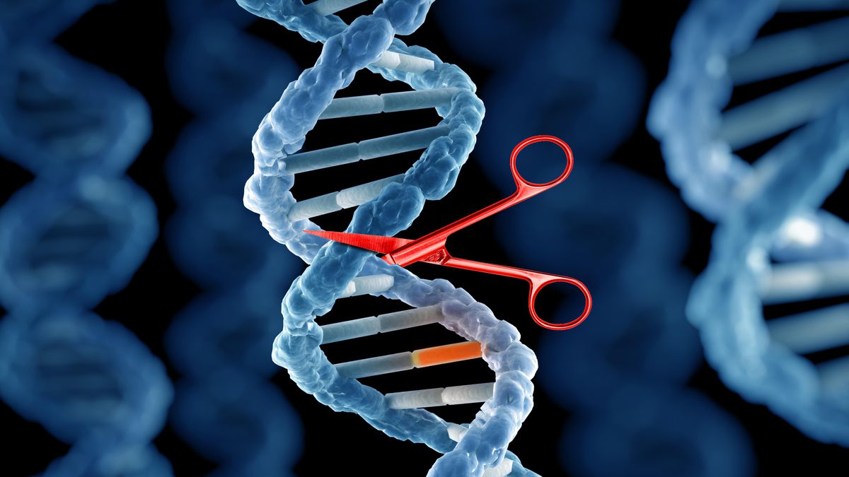Gene Editing Market Report: Global Opportunity Analysis and Industry Forecast, 2021–2030