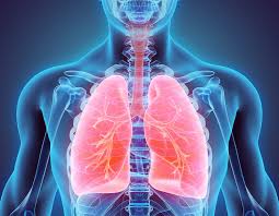 Lung Cancer Drugs Market Size, Share, Statistics, Latest Trends, Segmentation And Forecast to 2030