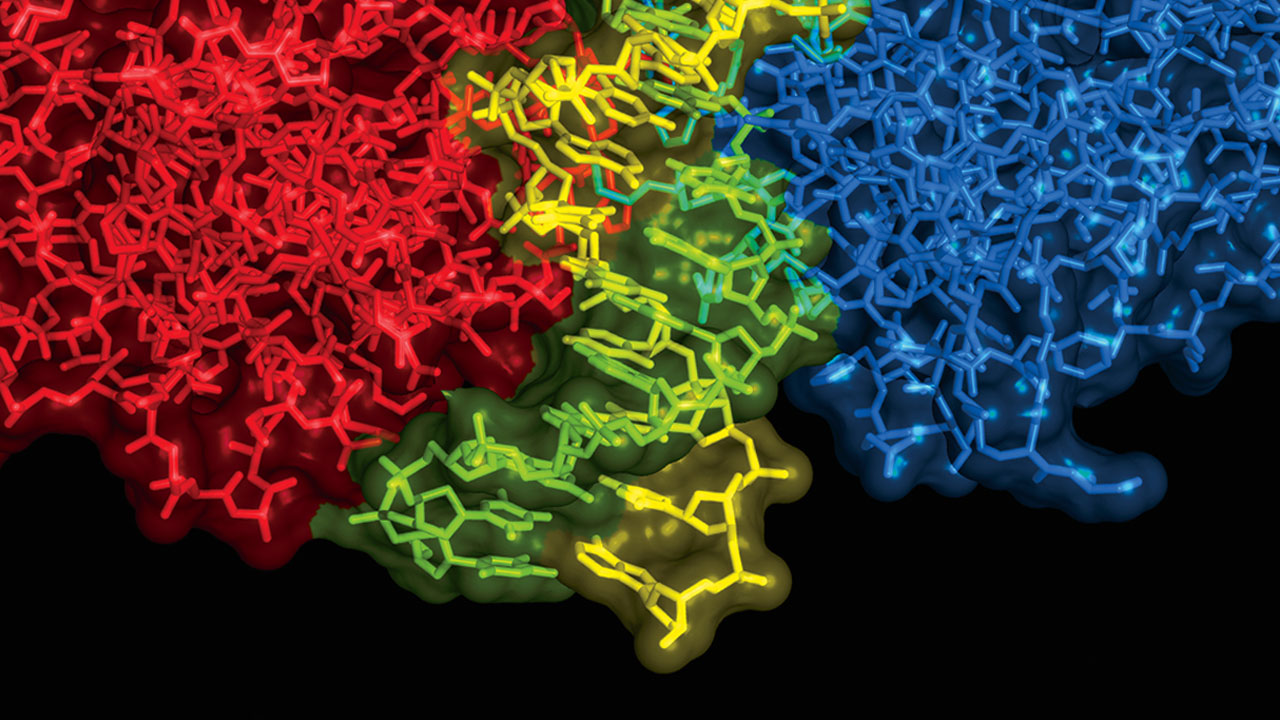 Protein Expression Market Size 2021 by Key Players, Development Strategy, Future Trends and Industry Growth Research Report