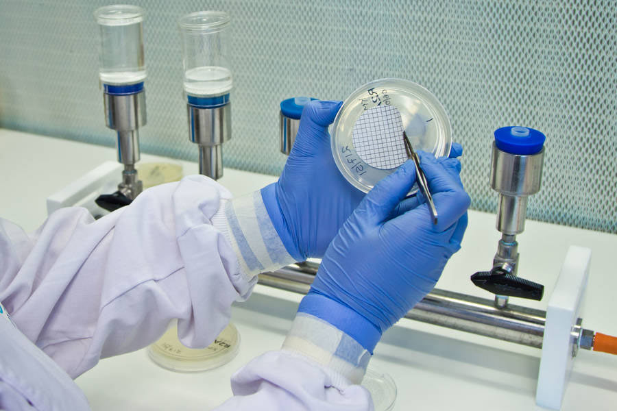 Pharma Microbiology Testing Kits Market Report 2021 to 2030 Provides Market Dynamics including Growth Drivers, Restraints, Opportunity and Trends