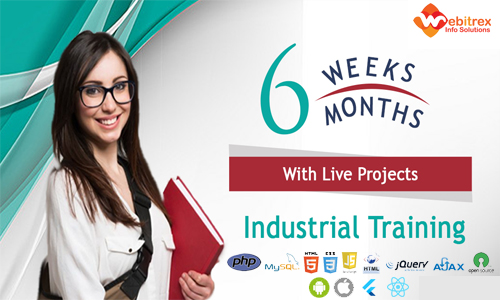 Best IT Industrial Training Company