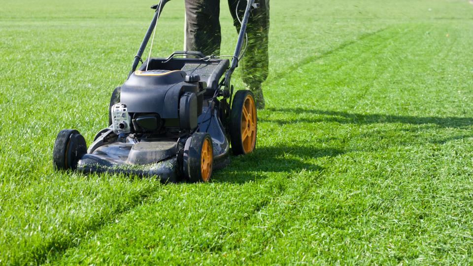 Cut the Grass with Cordless Lawn Mower