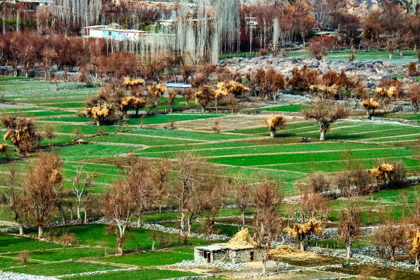 Pack your Bags and Visit Captivating Hunza Valley
