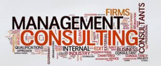 Want to know about management consulting in Geneva