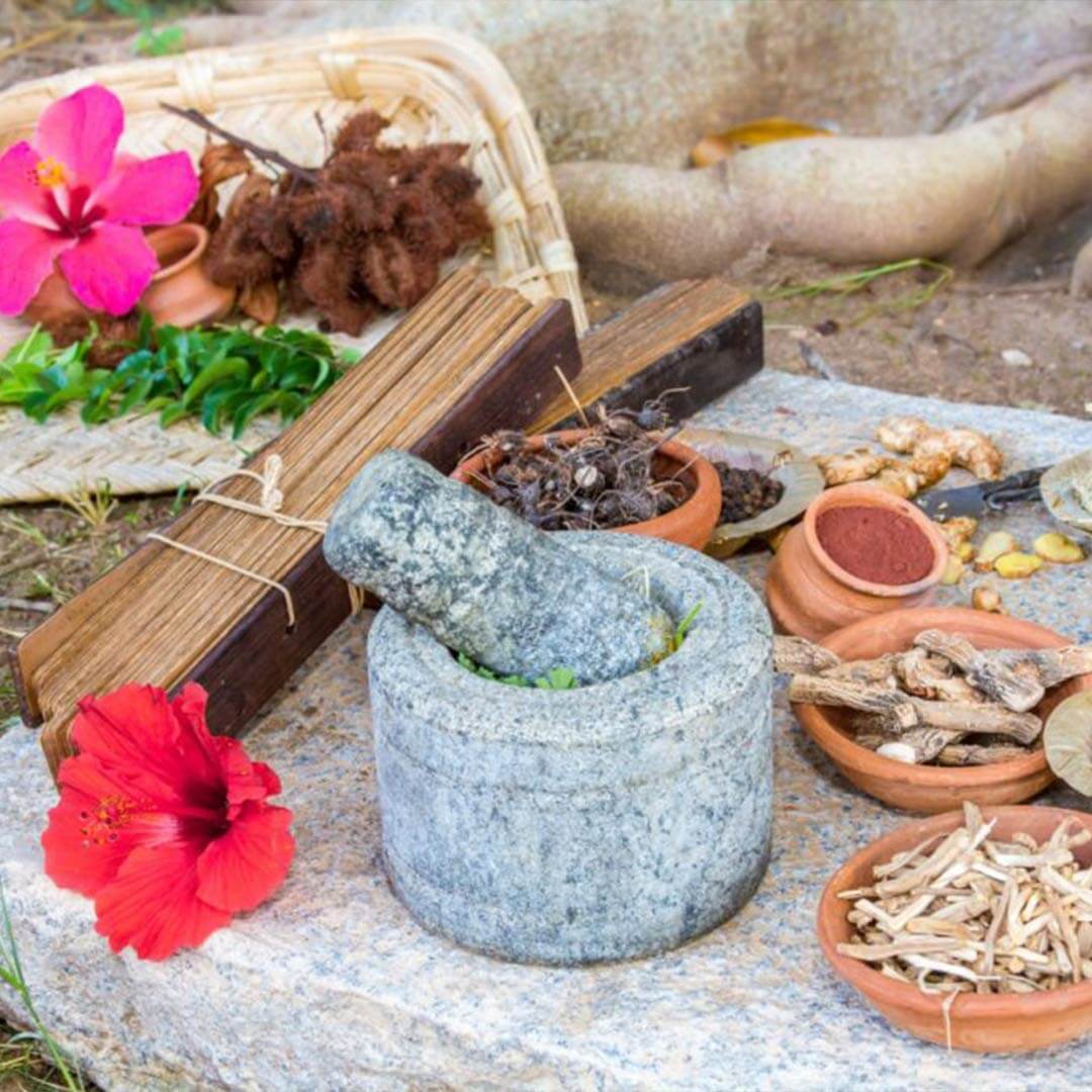 Herbs that Support Uterus Prolapse Treatment and Maintaining Strength