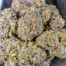 Weed Shop now