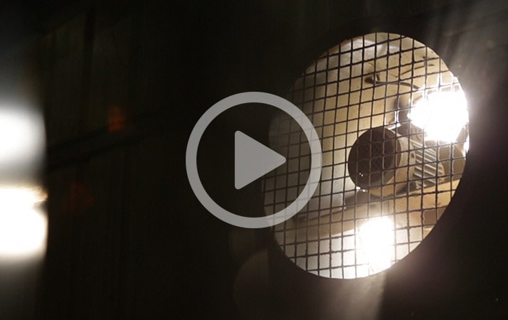 Best Detailed Explainer Video For Your Company | Urbanblink