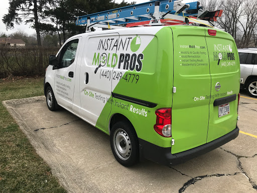 Customer Satisfaction Survey - Instant Mold Pros