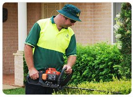 Lawn Mowing Wantirna South