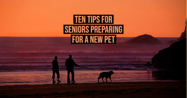 Ten Tips for Seniors Preparing for a New Pet