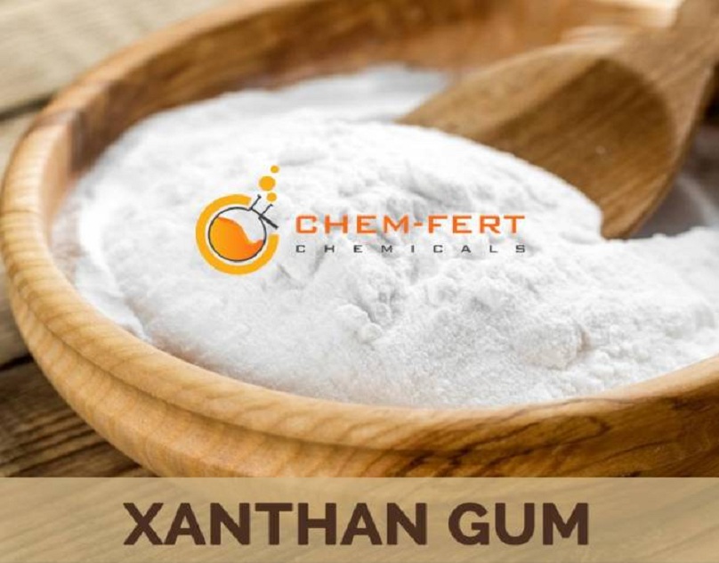 xanthan gum manufacturer in india