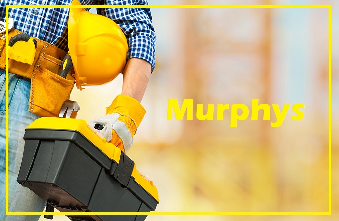 Provide regular remedial treatment to your house